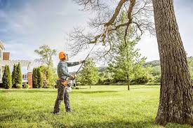 Best Lawn Mowing  in Layton, UT